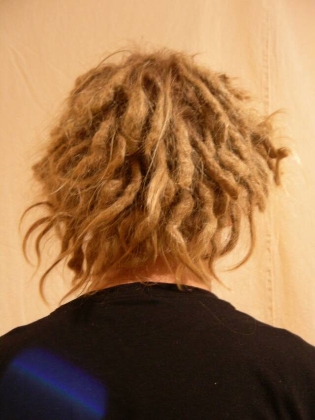 short dreadlocks before maintenance This is the back of Zack B4 and after 