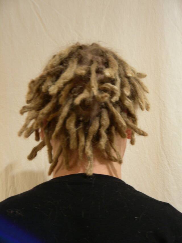 dreadlock questions and answers about dreads