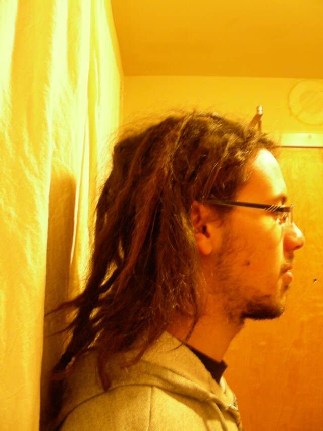 dreads 3 months after starting